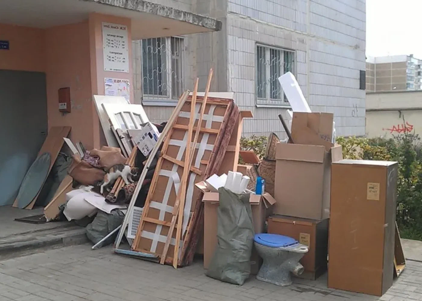 Профессиональный вывоз мусора из квартиры в Дагестанских Огнях в октябре