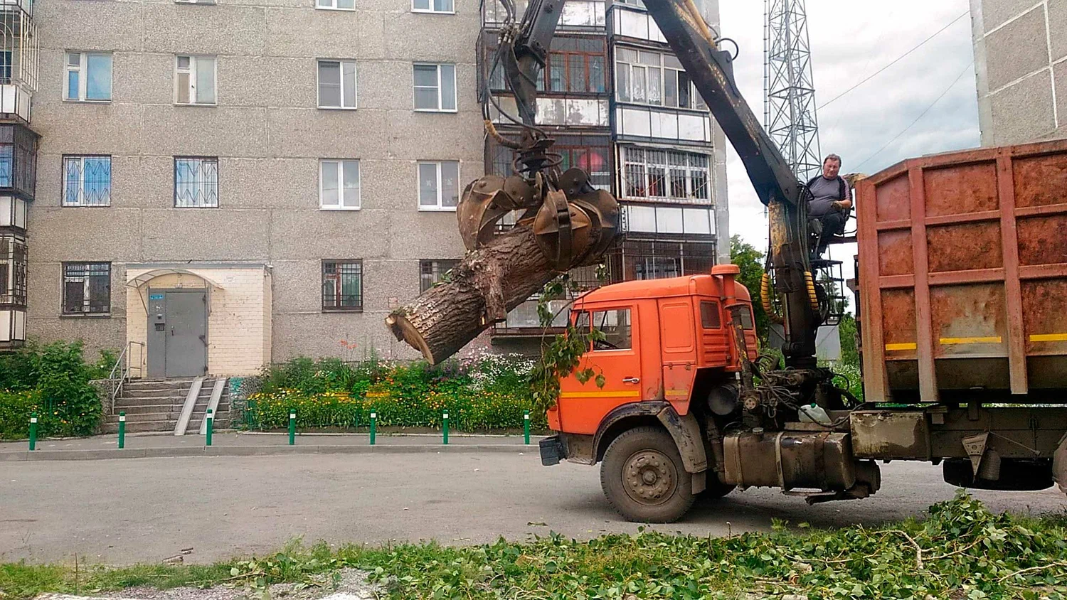 Вывоз спиленных веток и деревьев в Дагестанских Огнях от ПроМусор: порубочные остатки, утилизация, цена от 2994 руб