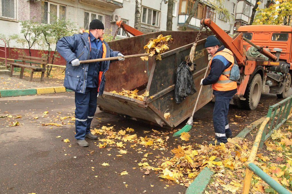 Вывоз опавшей листвы и растительного мусора в Дагестанских Огнях от ПроМусор – цена от 4645 руб., быстрая уборка и утилизация